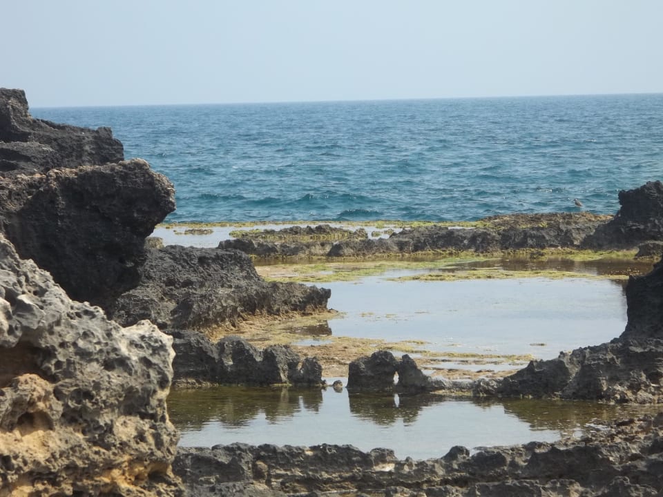Die kleine Insel Hotel Gardenia Beach