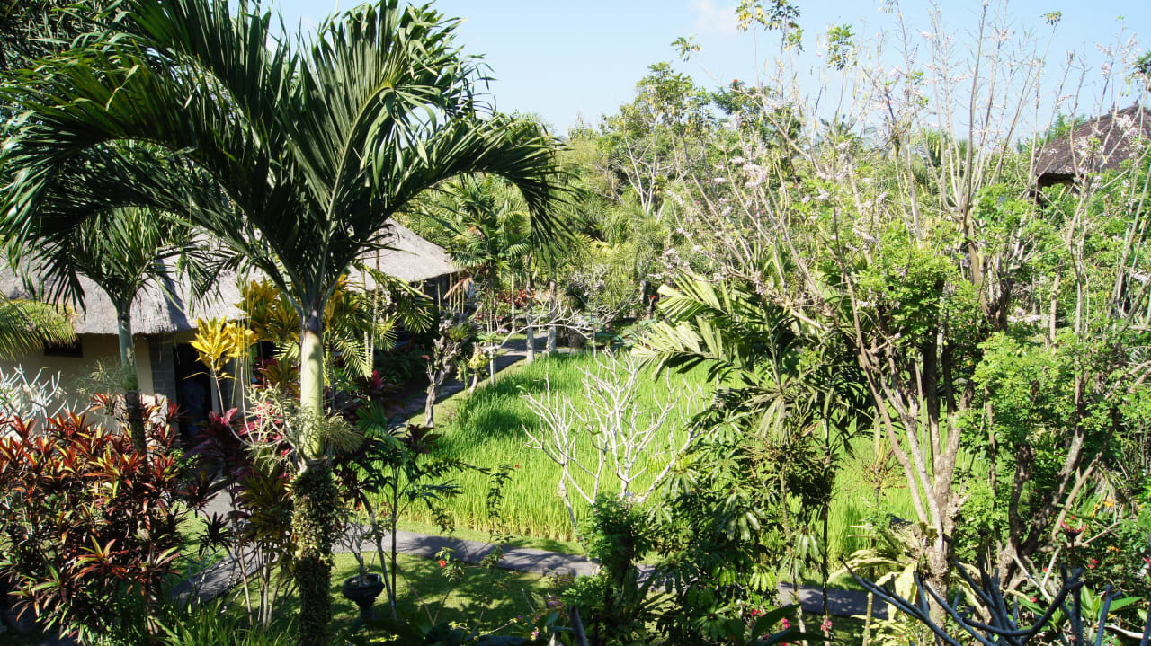 Ausblick Hotel Alam Shanti