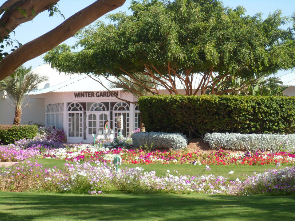 Gartenanlage Desert Rose