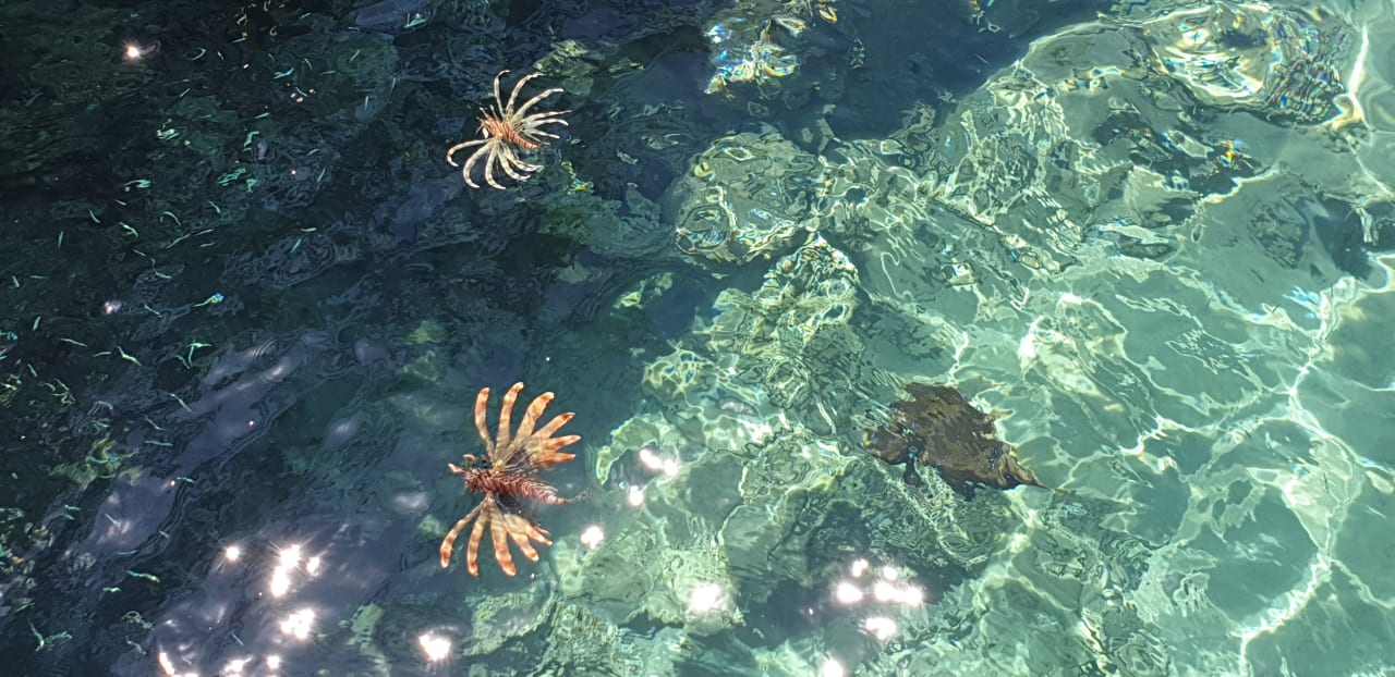 Strand Cleopatra Luxury Resort Makadi Bay