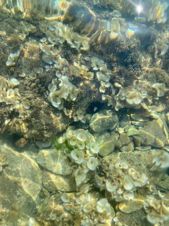 Ausblick Poseidon Hotel Sea Resort