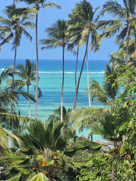 Gartenanlage TUI Blue Bahari Zanzibar
