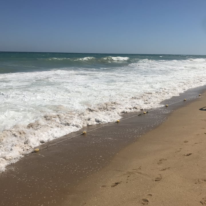 Strand Sentido Marea