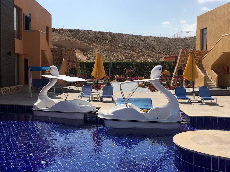 Pool Pickalbatros Vita Resort - Portofino Marsa Alam