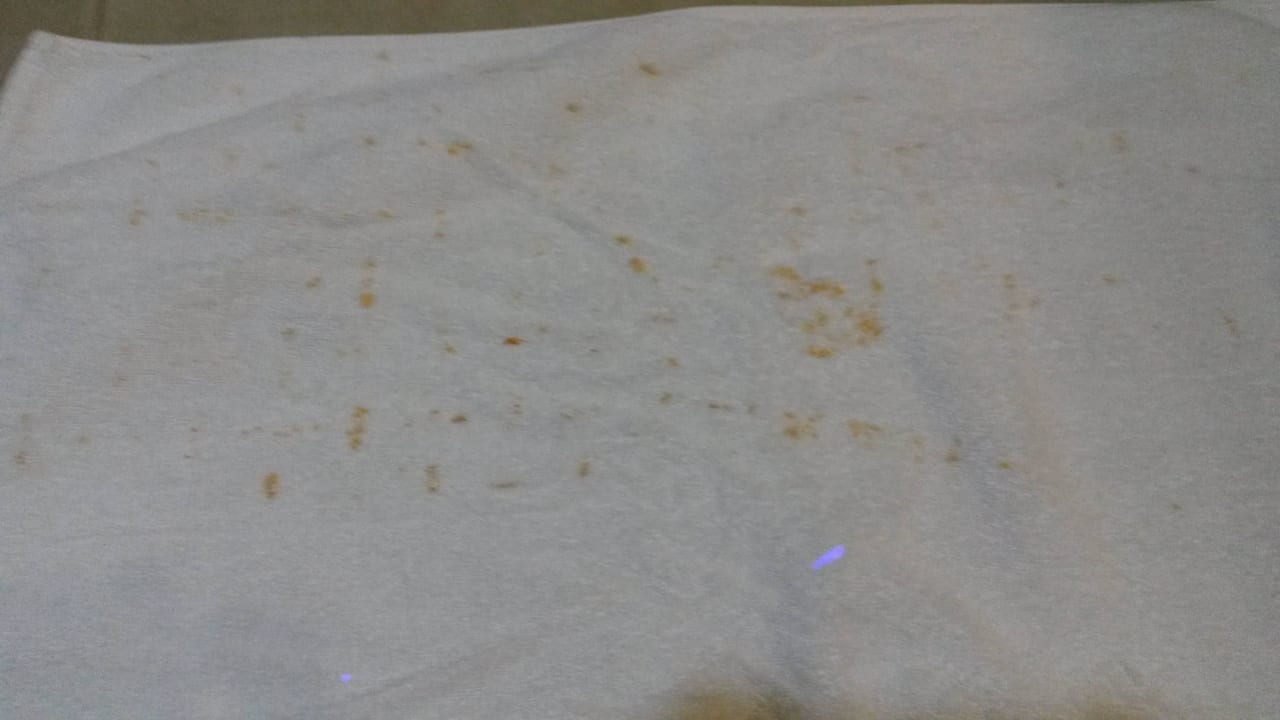 Solche Handtücher gehen gar nicht! Sirenis Tropical Varadero