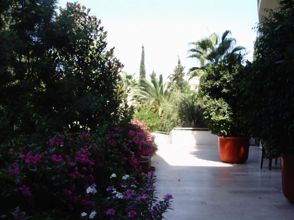 Hotel Botanik Botanik Hotel & Resort