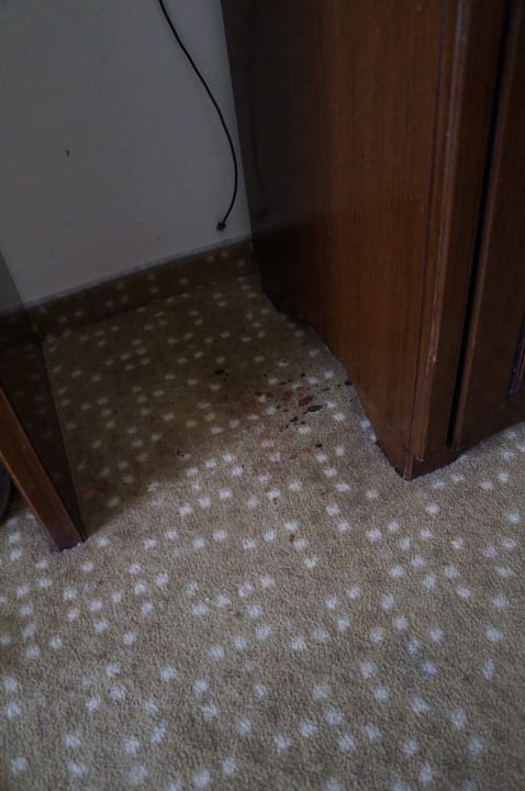 Teppichboden mit Flecken Armas Gül Beach