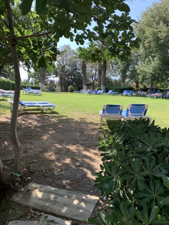 Gartenanlage Apollonia Beach Resort & Spa