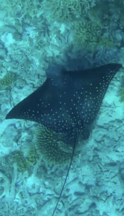 Sport & Freizeit ROBINSON MALDIVES