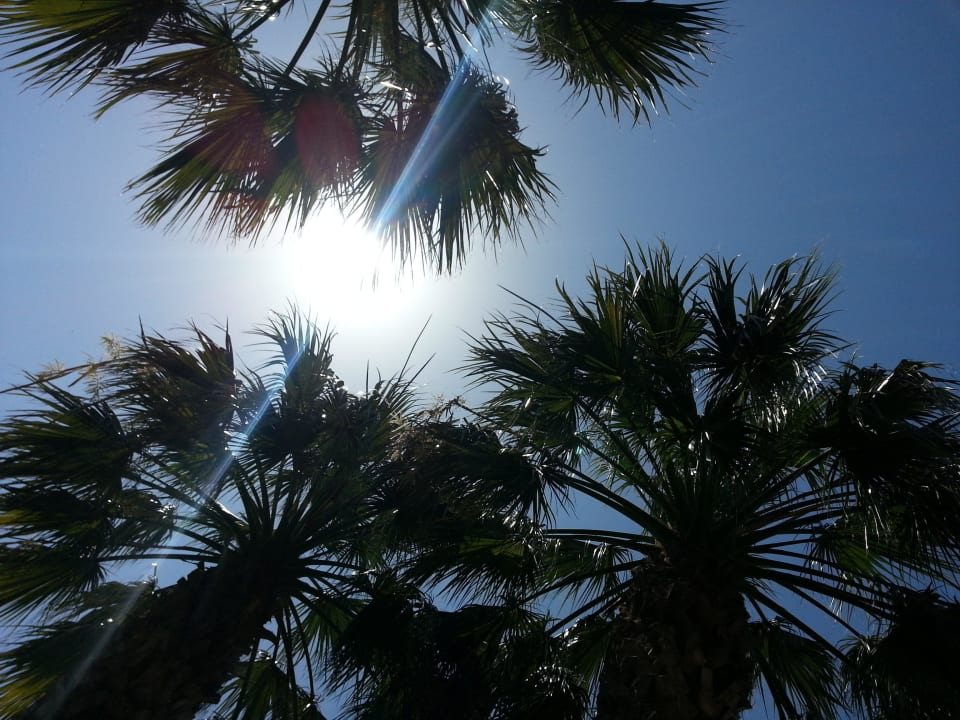 Blick aus der Hängematte VONRESORT Golden Beach