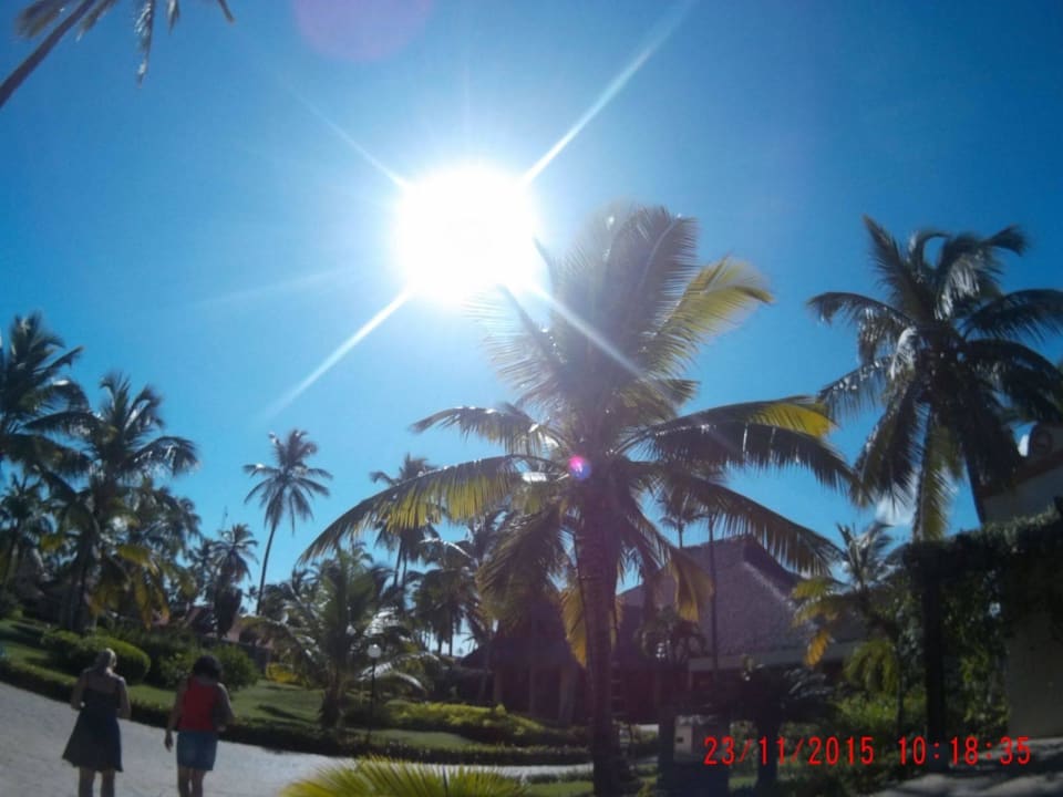 Traumhaftes Wetter  Punta Cana Princess All Suites Resort & Spa