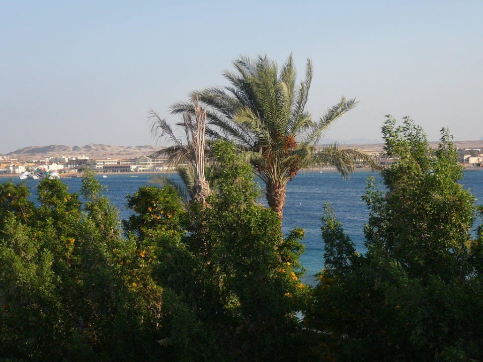 Výhled z okna Prima Life Makadi Resort