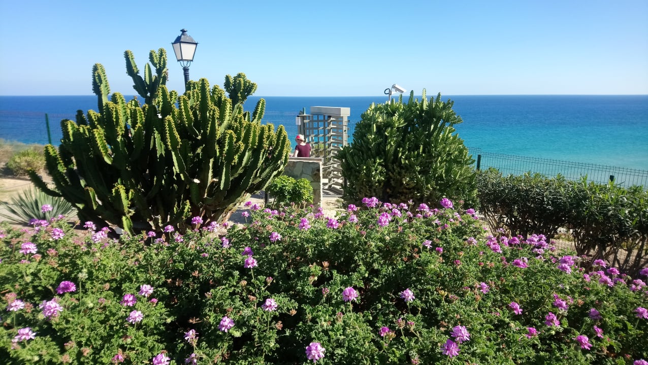 Gartenanlage TUI MAGIC LIFE Fuerteventura