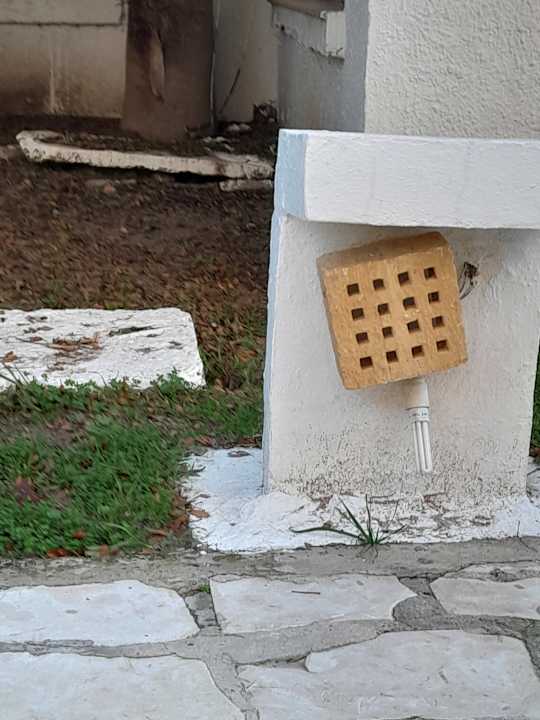 Außenansicht Hotel Bel Azur Thalasso & Bungalows