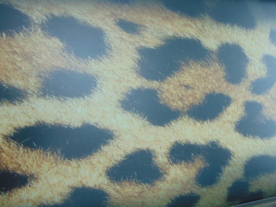 Zimmer NYX Hotel Warsaw by Leonardo Hotels