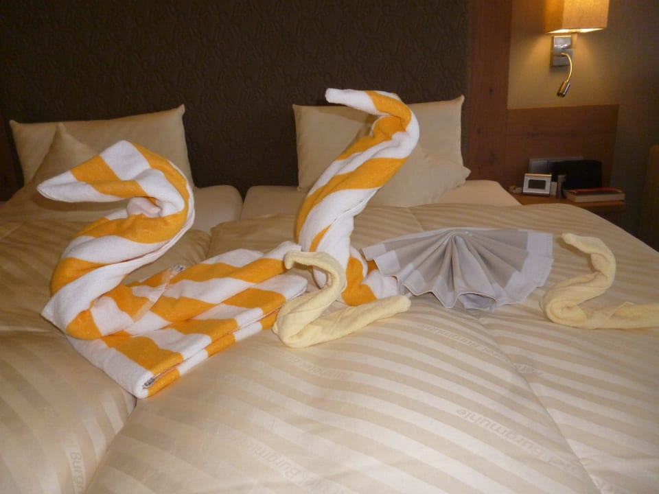 Schwanenfamilien auf dem Bett Parkhotel Burgmühle