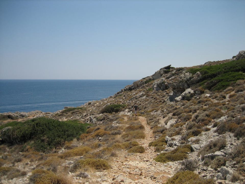 Hier findet man auch Schlangen Hotel Kalithea Horizon Royal