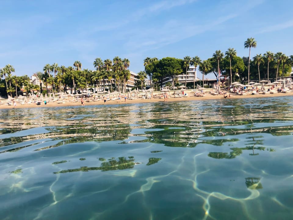 Strand Acanthus Cennet Barut Collection