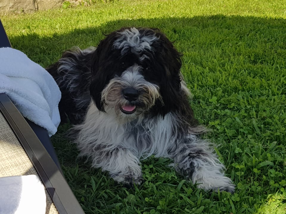 Sonstiges Hotel Ambassador