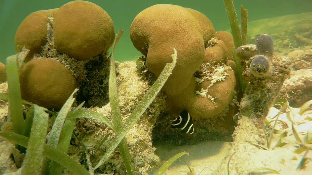 Sport & Freizeit Akumal Bay Beach & Wellness Resort