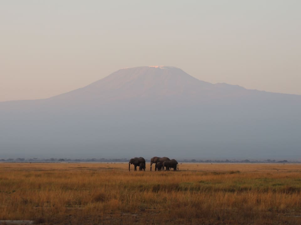 Blick von der Lodge aus  Ol Tukai Lodge