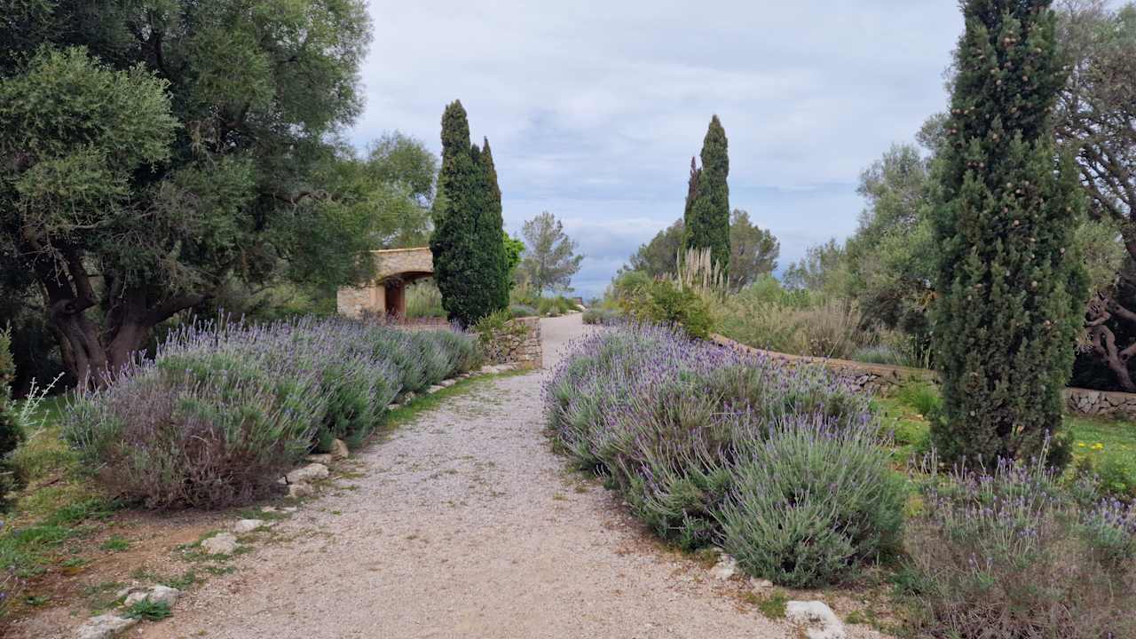 Gartenanlage Carrossa Hotel & Spa