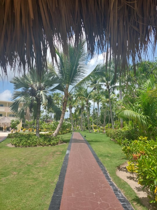 Gartenanlage TRS Turquesa Hotel - Adults only