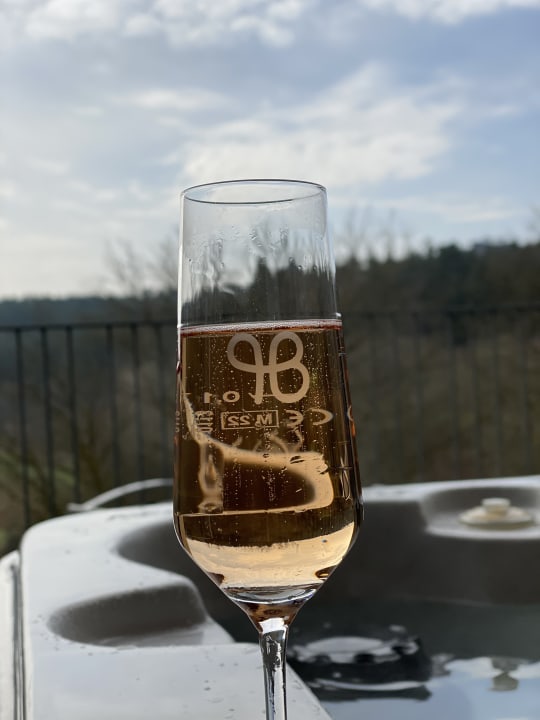 Zimmer Pfalzblick Wald Spa Resort