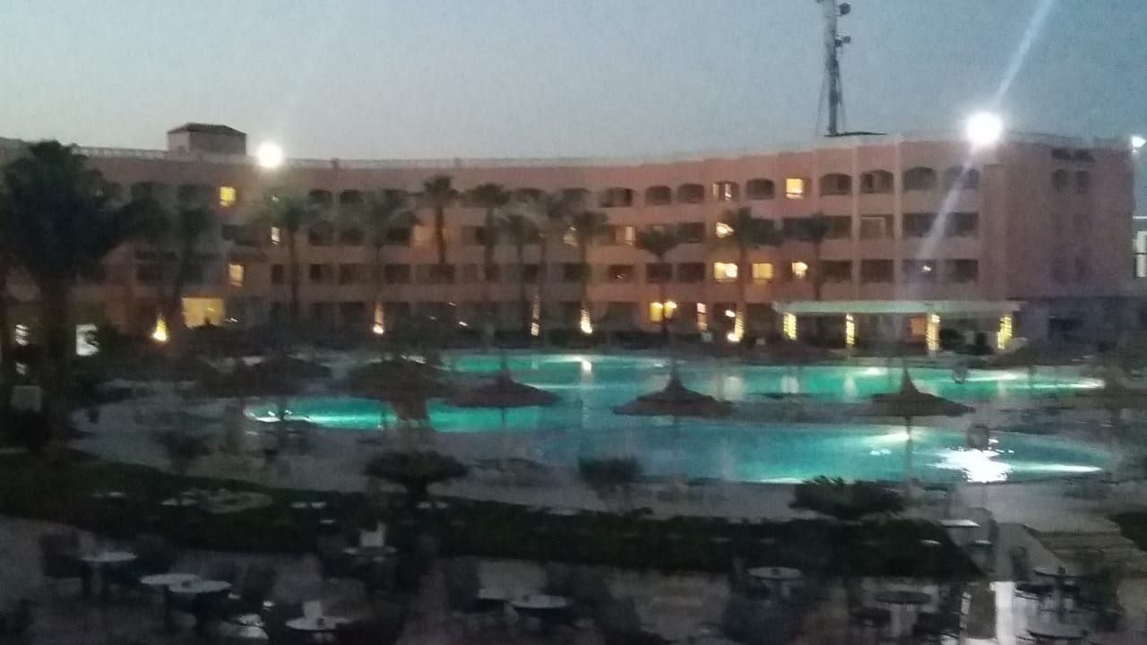 Pool Beach Albatros Resort