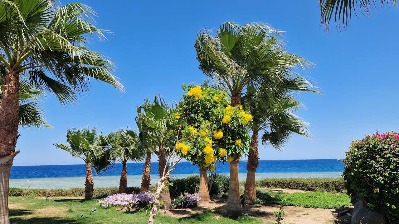 Gartenanlage Three Corners Equinox Beach Resort