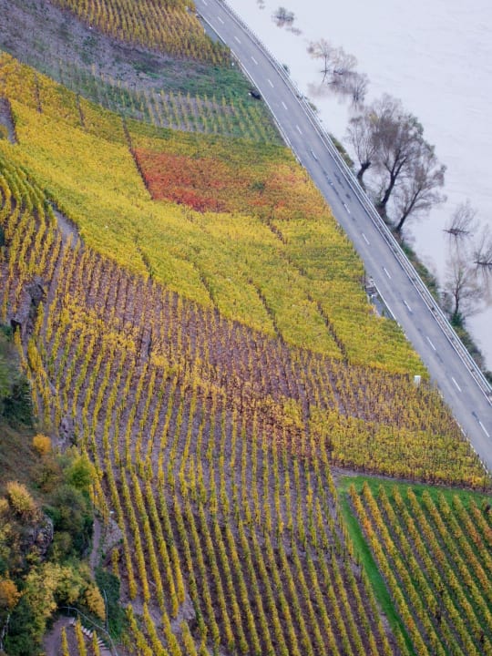 Wijngaarden in de herfst Hotel Hegenbarth´s