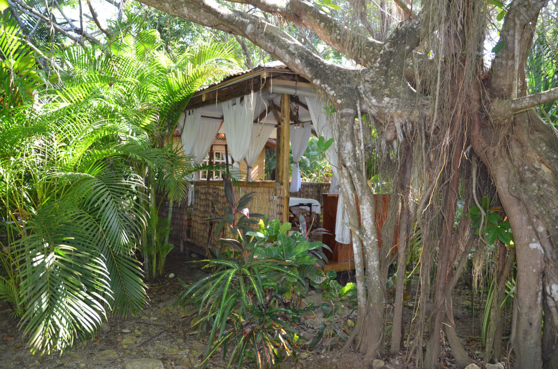 Bungalow in der Anlage Hotel Tropico Latino