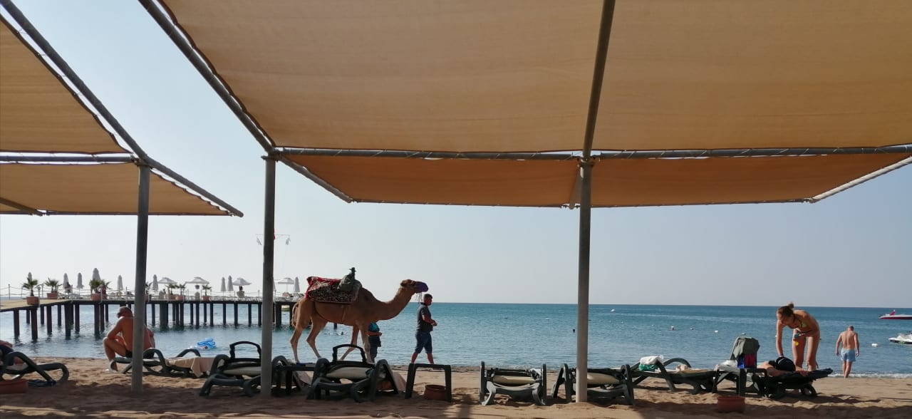 Strand Royal Wings Hotel