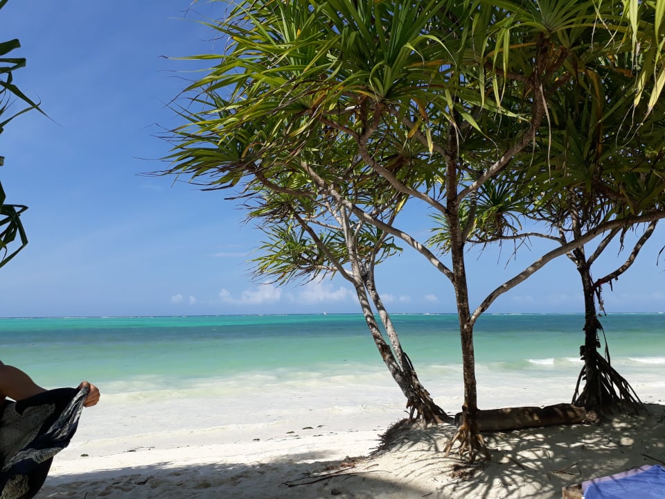 Strand Neptune Pwani Beach Resort & Spa