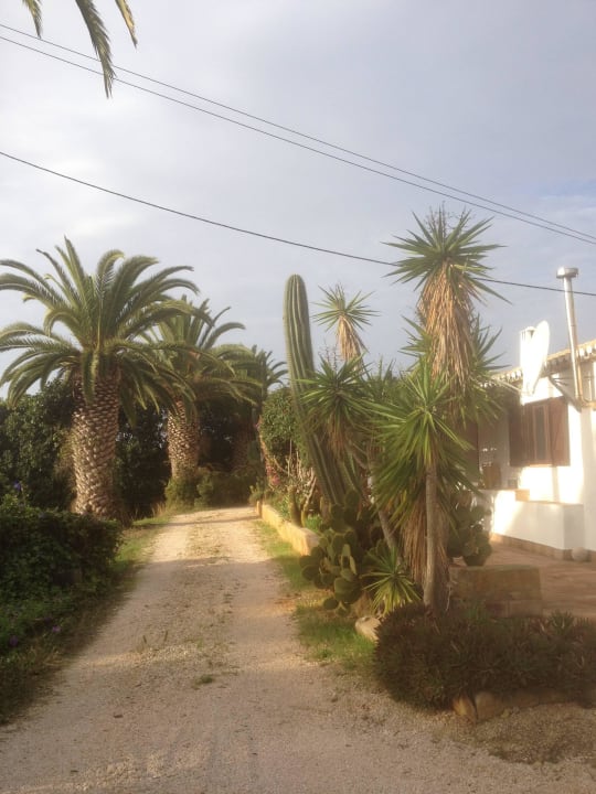 Schöner Garten neben dem Haus Casa Dania