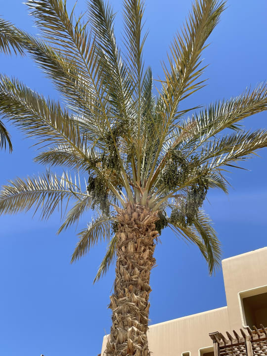 Außenansicht Hotel Kempinski Soma Bay