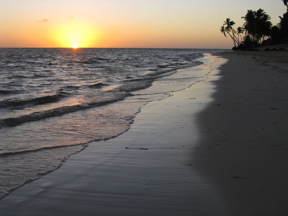Sonnenaufgang am Strand  Catalonia Royal Bavaro - Adults only