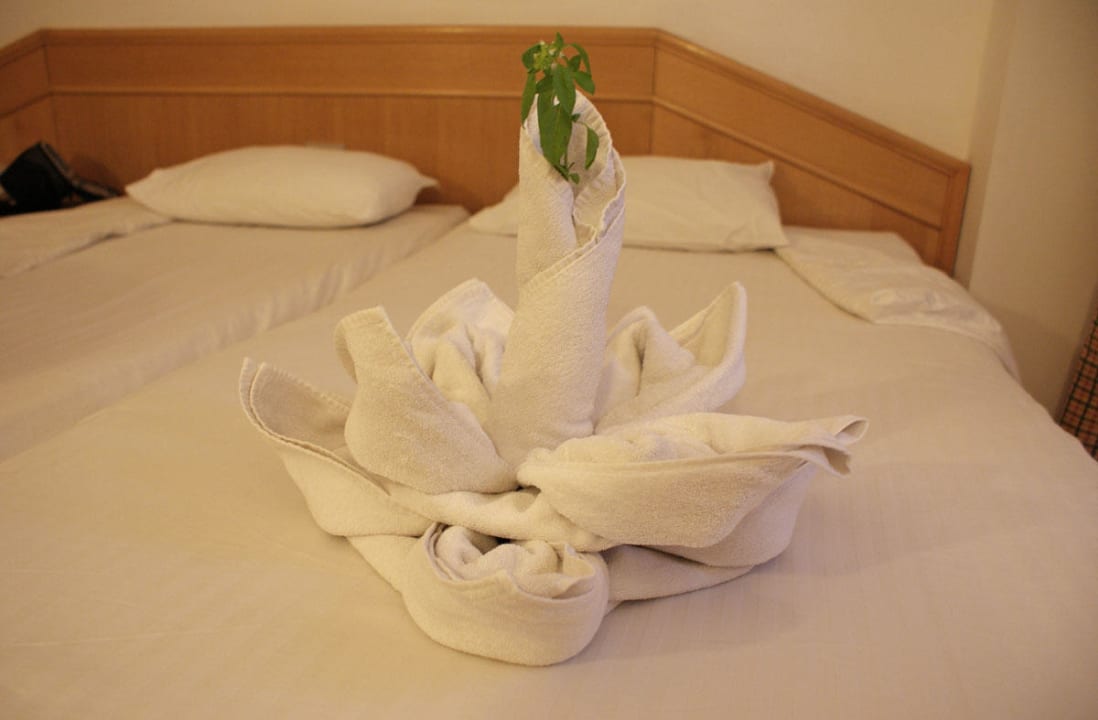 Hotel BEACH Albatros Resort & Spa Beach Albatros Resort