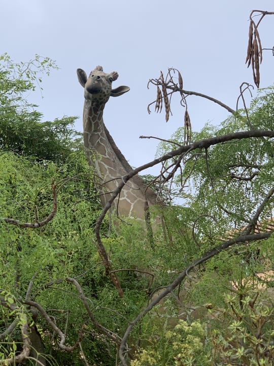 Gartenanlage Lopesan Baobab Resort