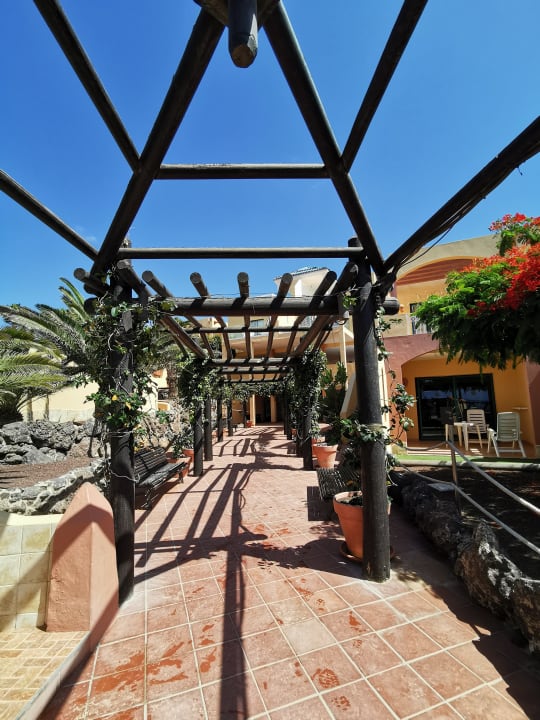 Gartenanlage H10 Playa Esmeralda - Adults only