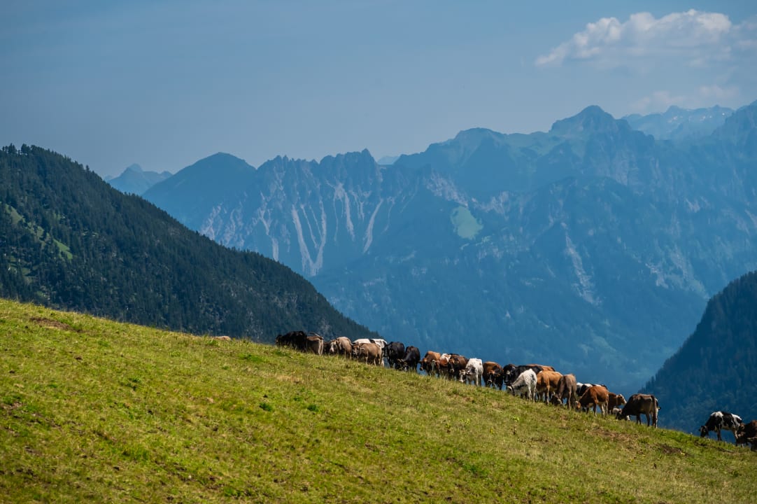 Ausblick Alpenhotel Zimba
