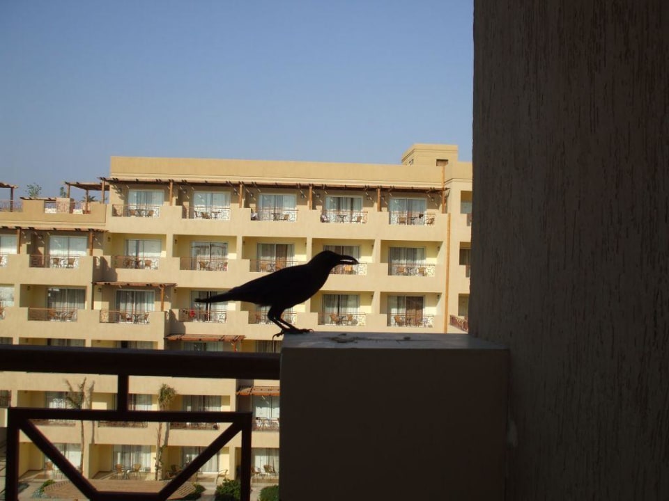 Das war der Blick von unserem Balkon Imperial Shams Abu Soma