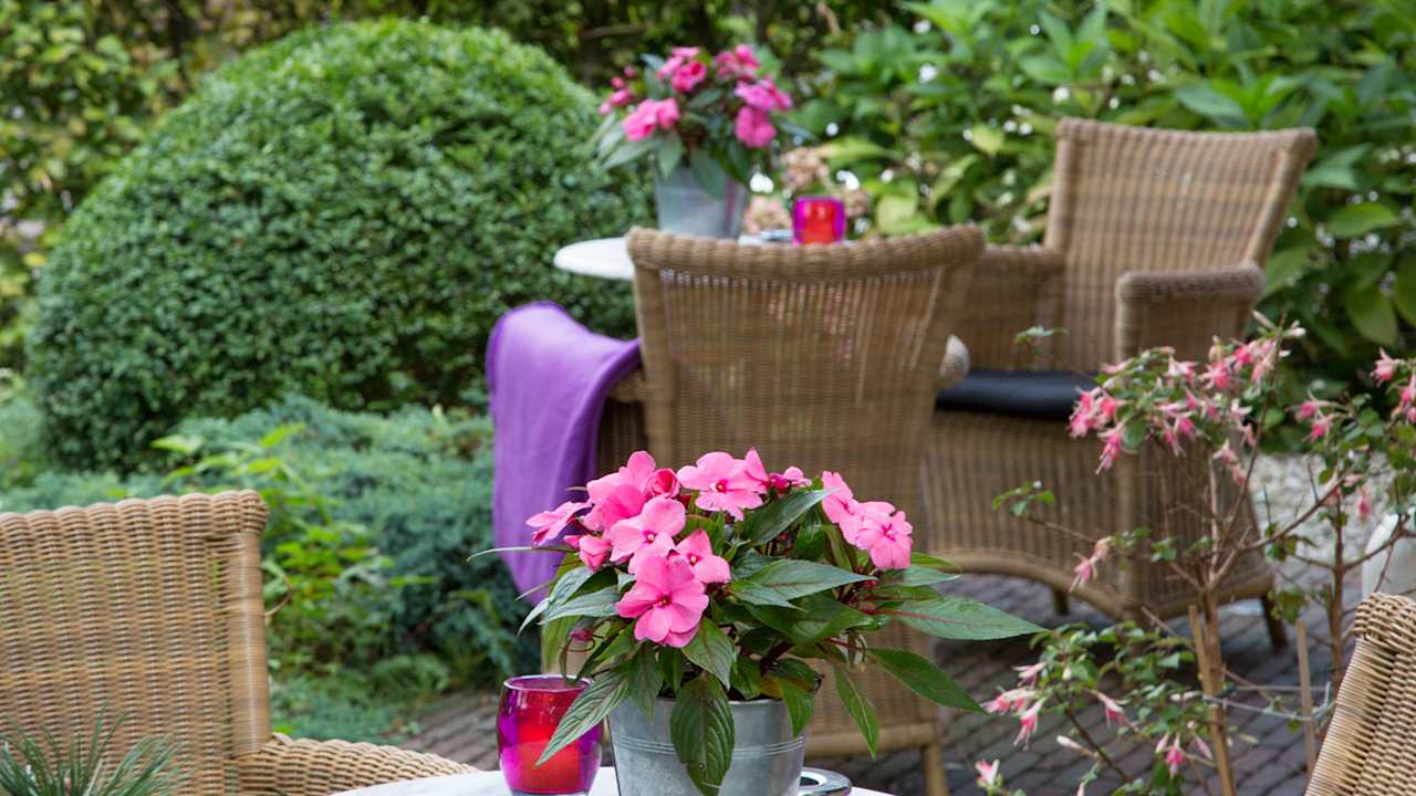 Gartenanlage Hotel Ravel Hilversum