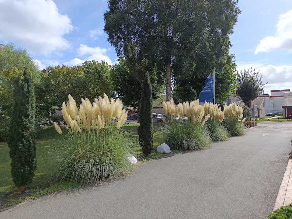 Außenansicht Ferienwohnungen Ferienpark Weissenhäuser Strand