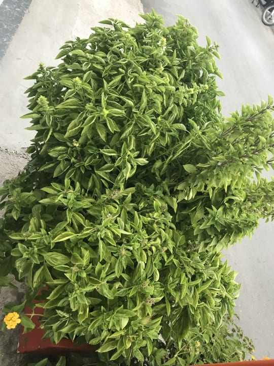 Gastro Hotel Paradise