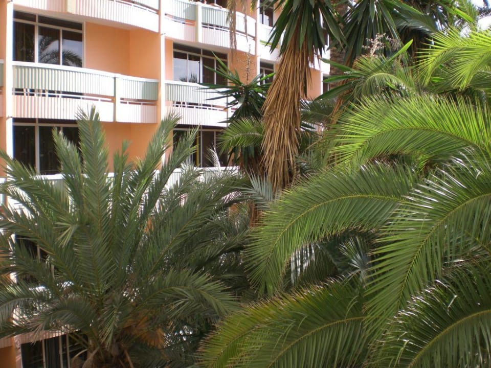 Zimmer 319 Abora Buenaventura by Lopesan Hotels