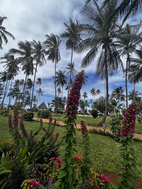 Gartenanlage TUI Blue Bahari Zanzibar