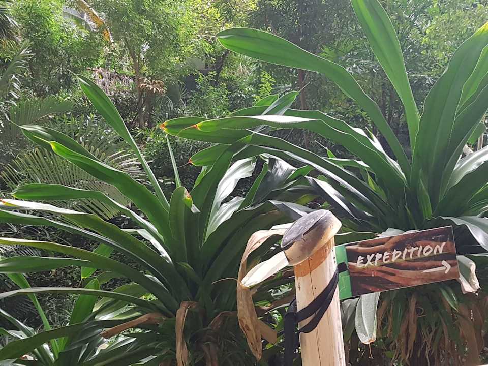 Sonstiges Tropical Islands Resort