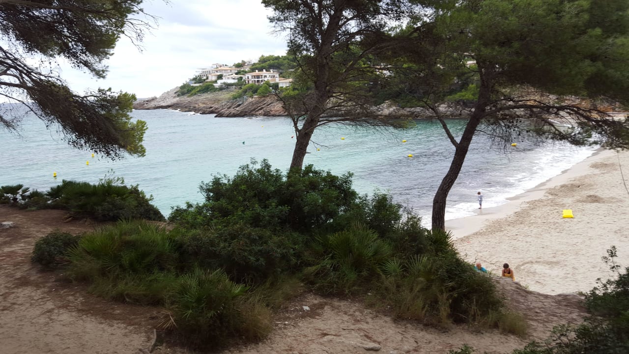 Blick vom Hotel Iberostar Waves Pinos Park