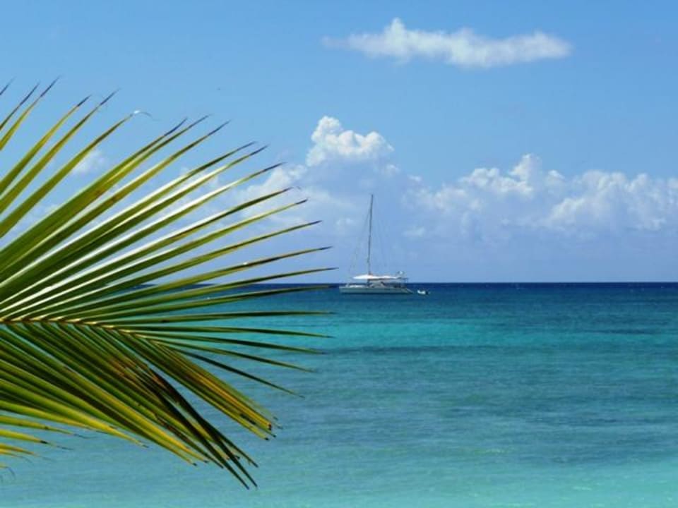 Karibik feeling Dreams La Romana Resort & Spa